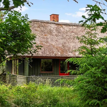 Bv457-blavand-svinget-15 Blåvand